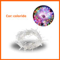 Pisca Pisca de LED Transparente 10m com 100 LEDs - Cores Branco e Colorido 127V